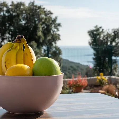 New Artec With Sea View * Marčana