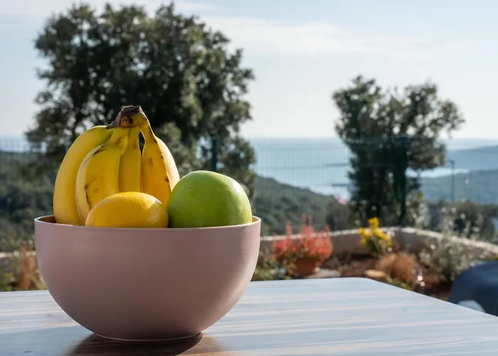 New Artec With Sea View * Marčana