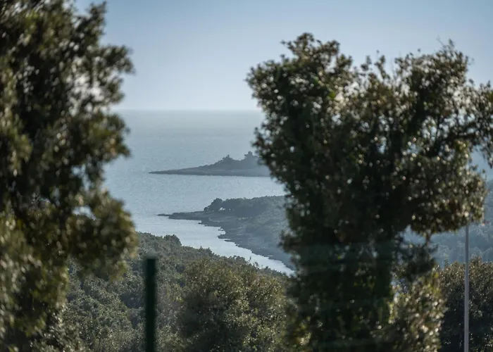 New Artec With Sea View Βίλα Marčana